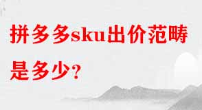 拼多多代運(yùn)營
