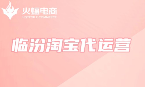 臨汾淘寶代運營 臨汾淘寶代運營