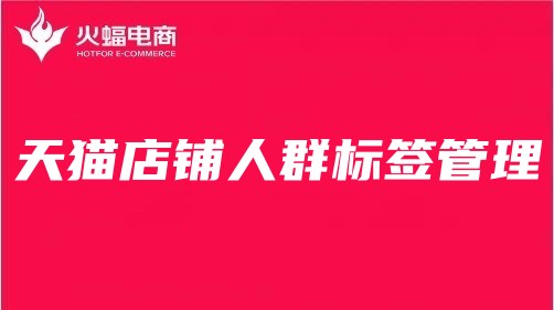 景德鎮天貓代運營 景德鎮天貓代運營